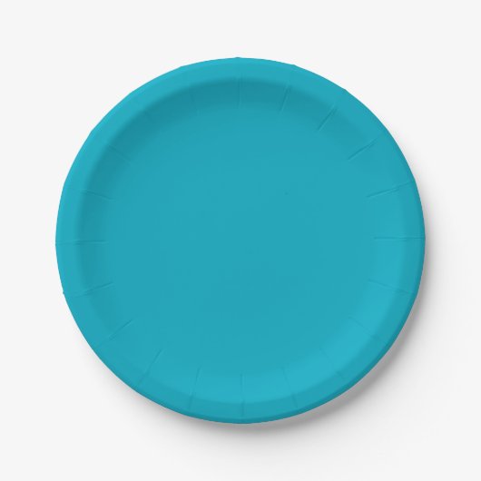 Bright Rich Sky Blue Paper & Party Plates ペーパープレート (正面)