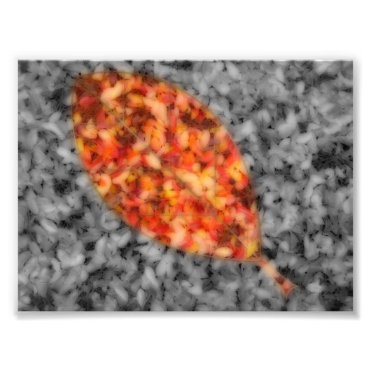 Bright Shadowsフォトプリント フォトプリント (正面)