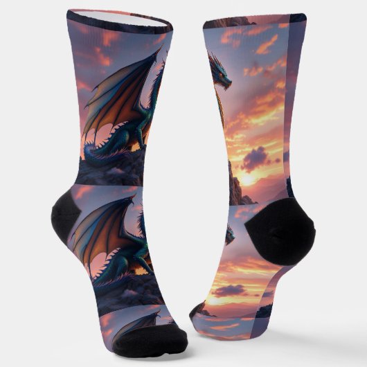 Bright Socks RANDOPIX 静止竜 0039519 ソックス (傾斜あり)