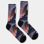 Bright Socks RANDOPIX 静止竜 0039519 ソックス (右)