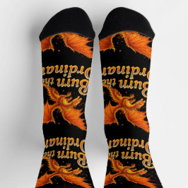 Bright Socks RANDOPIX Burn The Ordinary 0039501 ソックス