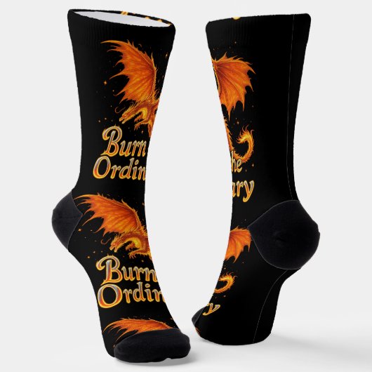 Bright Socks RANDOPIX Burn The Ordinary 0039501 ソックス (傾斜あり)