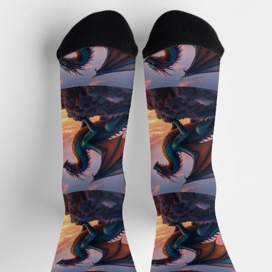 Bright Socks RANDOPIX Resting Dragon 0039519 ソックス (上部)