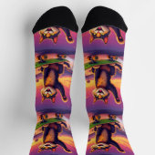 Bright Socks RANDOPIX Skateboard Cat 0039510 ソックス (上部)