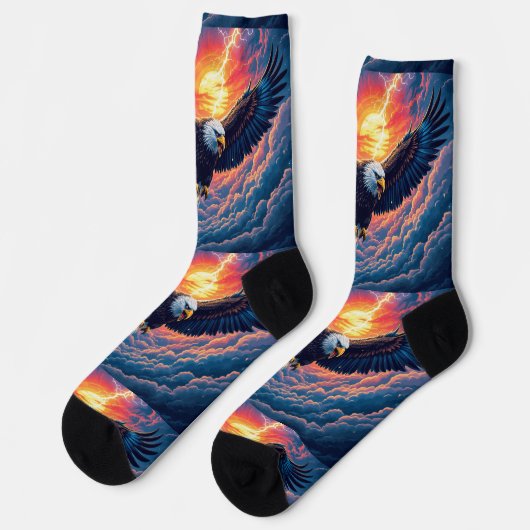 Bright Socks UNISEX Sun Eagle 0040751 ソックス (左)