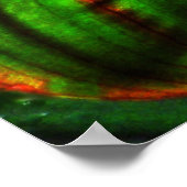 Bright Striped Canna Leaf Poster Print ポスター (角)