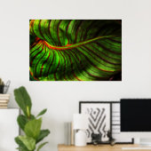Bright Striped Canna Leaf Poster Print ポスター (ホームオフィス)