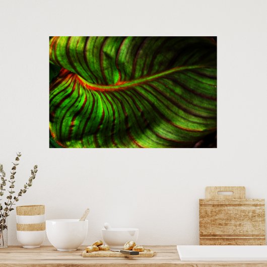 Bright Striped Canna Leaf Poster Print ポスター (キッチン)