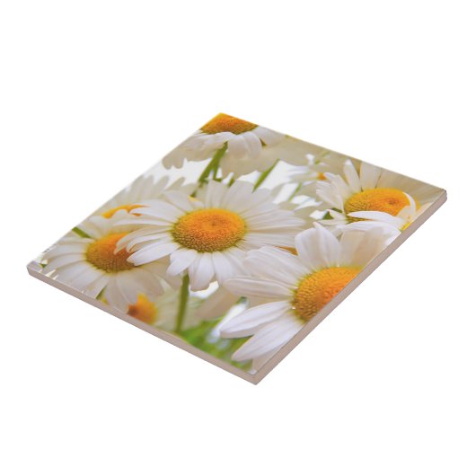Bright Summer Daisies Photo タイル (側面)