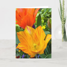 Bright Tulips Blank Note Card サンキューカード