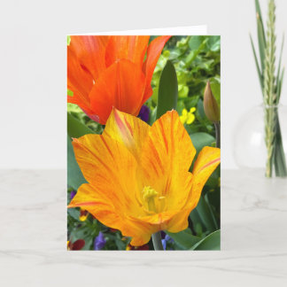 Bright Tulips Blank Note Card サンキューカード