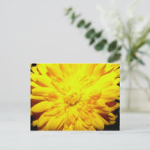 Bright Yellow Mumはがき ポストカード (スタンド正面)