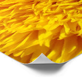 Bright Yellow Sunflower art prints Summer Garden ポスター (角)