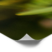 Bright Yellows ポスター (角)