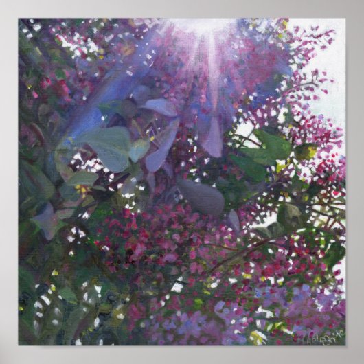 Brilliance 2014 ポスター (正面)