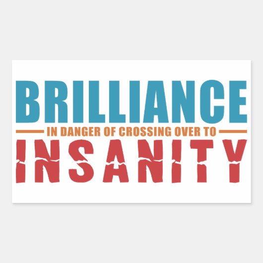 BRILLIANCE VS INSANITYカスタムステッカー 長方形シール (正面)