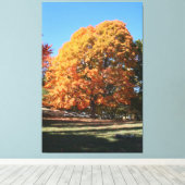 Brilliant Autumn Tree – Hubbell, Michigan キャンバスプリント (インサイチュ (ウッドフロア))