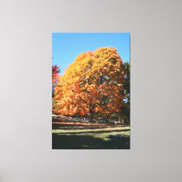 Brilliant Autumn Tree – Hubbell, Michigan キャンバスプリント