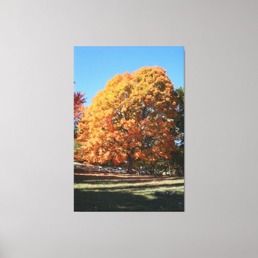 Brilliant Autumn Tree – Hubbell, Michigan キャンバスプリント (正面)