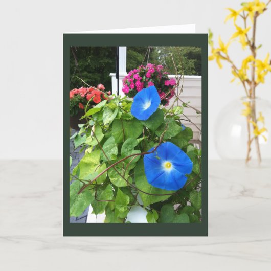 Brilliant Blue Morning Glories Blank  カード (黄色い花)