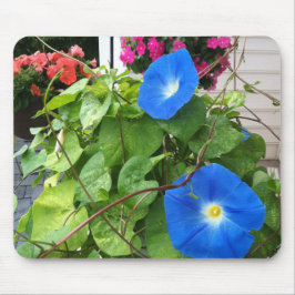 Brilliant Blue Morning Glories Close-up マウスパッド