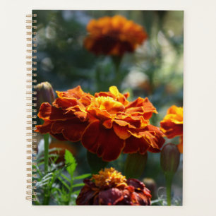 Brilliant Marigoldsマクロ写真 プランナー手帳