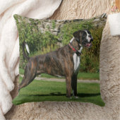 Brindleボクサーのドッグショーのスタンス クッション (ブランケット)