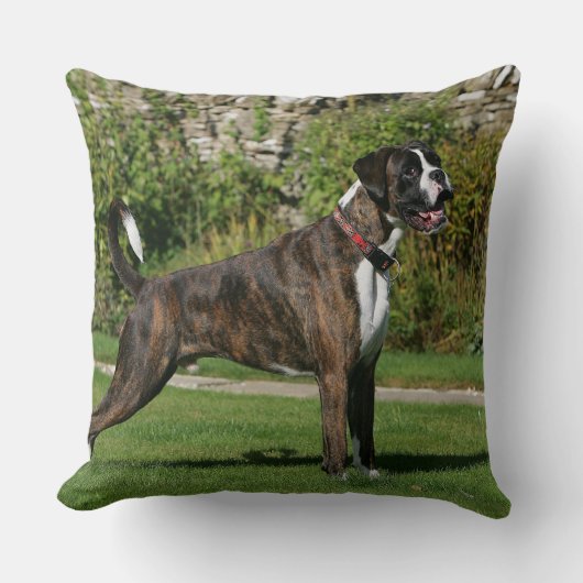 Brindleボクサーのドッグショーのスタンス クッション (正面)
