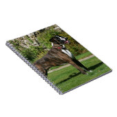 Brindleボクサーのドッグショーのスタンス ノートブック (右側)