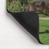 Brindleボクサーのドッグショーのスタンス マウスパッド (コーナー)