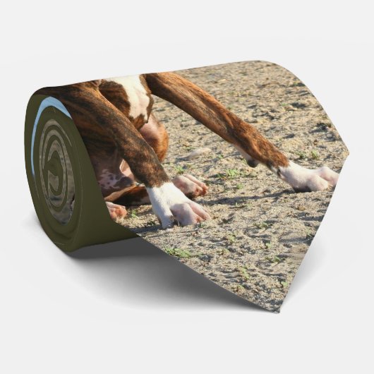 Brindleボクサーの子犬のタイ ネクタイ (ロール)