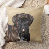 Brindleボクサー犬の地位 クッション (ブランケット)