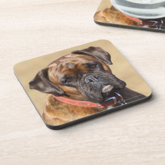 Brindleボクサー犬 コースター (左側)
