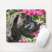Brindleマスティフの子犬のmousepad マウスパッド (マウス)