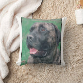 Brindleマスティフの枕 クッション (ブランケット)