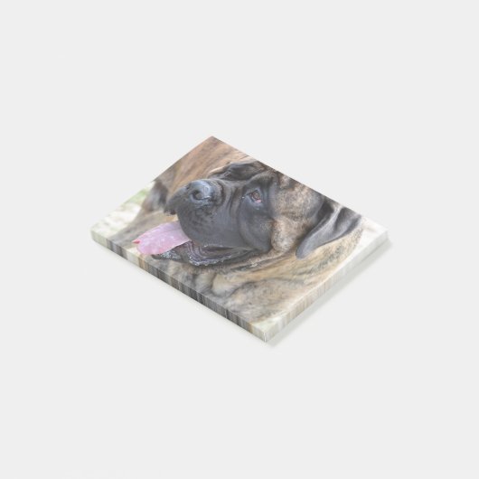 Brindleマスティフ ポストイット (アングル)