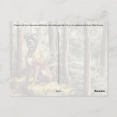 Brindle Boxer – ポストカード (裏面)