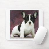 Brindle_pied_frenchのブルドッグの子犬 マウスパッド (マウス)