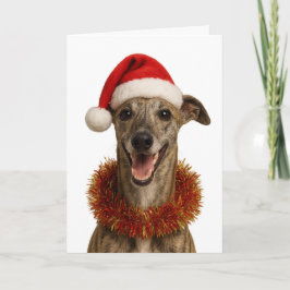 Brindle whippet in a Santa hat Christmas card カード