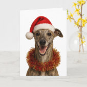 Brindle whippet in a Santa hat Christmas card カード (黄色い花)