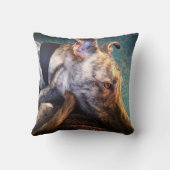 Brindledラーチャーのグレイハウンド クッション (裏面)