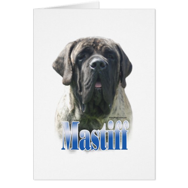 BrindleNamebluemetal (正面)