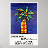 Brissago e Ronco s Ascona,スイス,旅行 ポスター (正面)