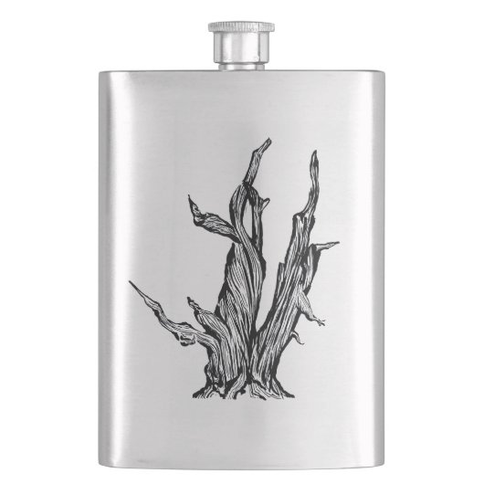 Bristleconeマツ フラスク (正面)