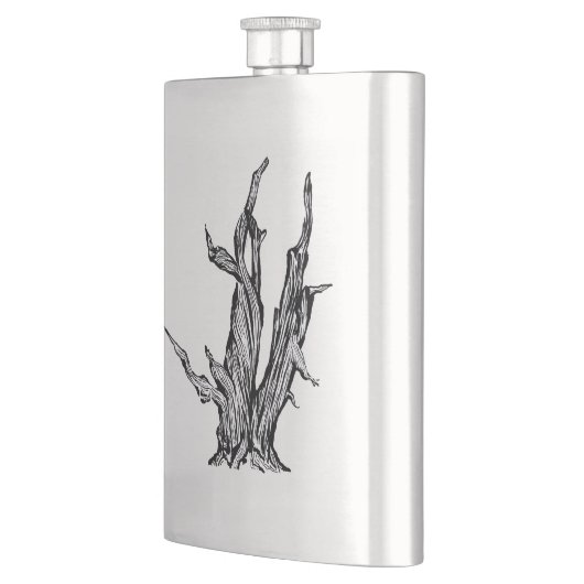 Bristleconeマツ フラスク (左)