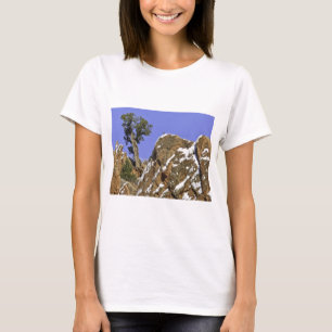 Bristleconeマツ Tシャツ
