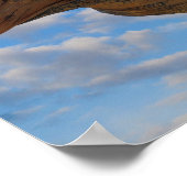 Bristlecone Pine Tree ポスター (角)