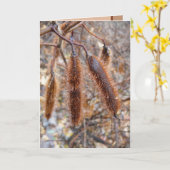 Bristlyイナゴの種のポッド カード (黄色い花)