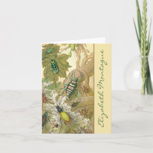 British Beetlesノートカパーソナライズされたード ノートカード (正面)