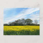 British contryside ポストカード (正面)